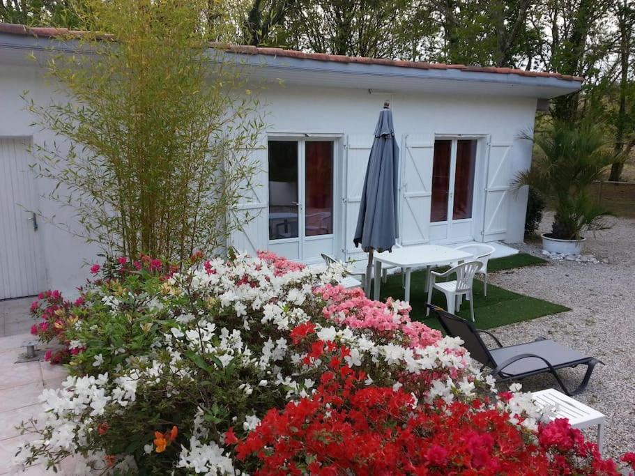 Chalet A Louer Pres De Dax Mées Esterno foto